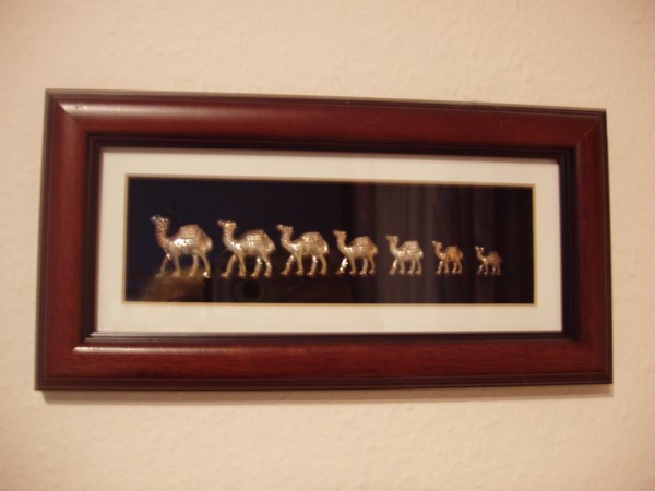 Bild von sieben Kamelen